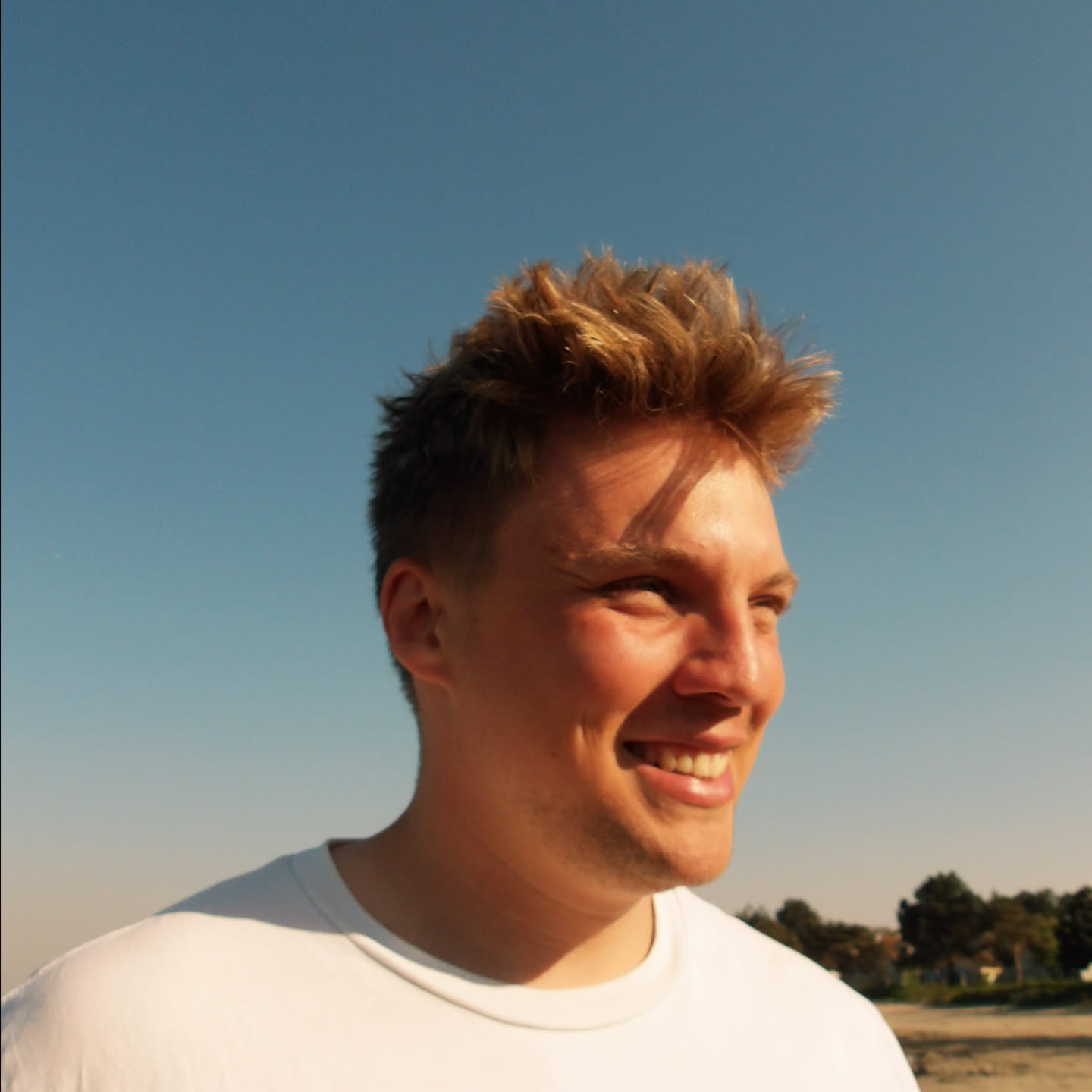 Portret Milan Schollier